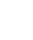 Single Tree Team